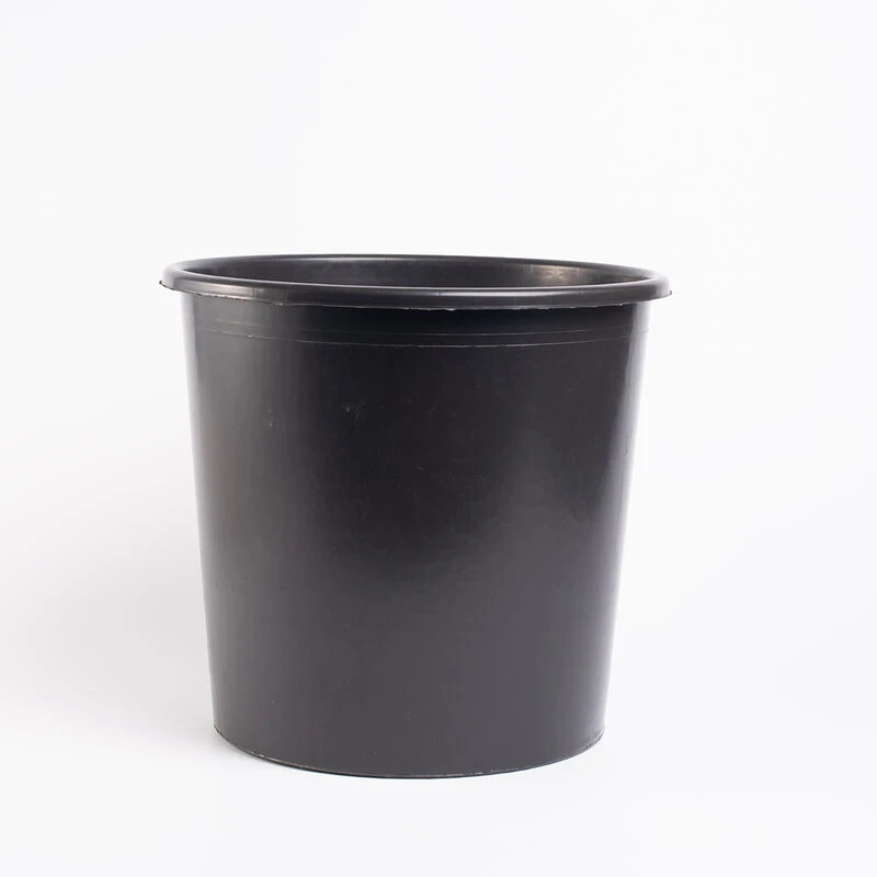10L Flower Buckets for professional floral arrangements