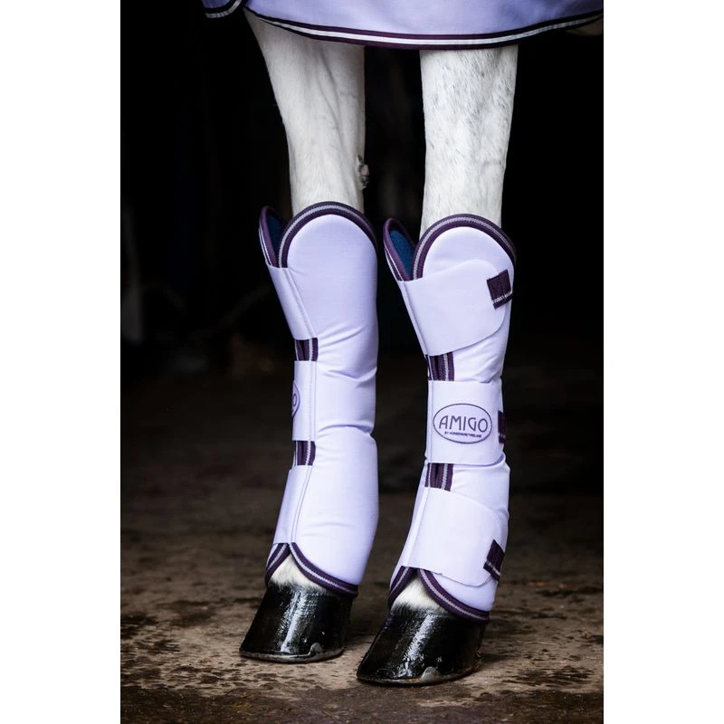 Amigo Ripstop Travel Boots in Lavender/Plum/Silver