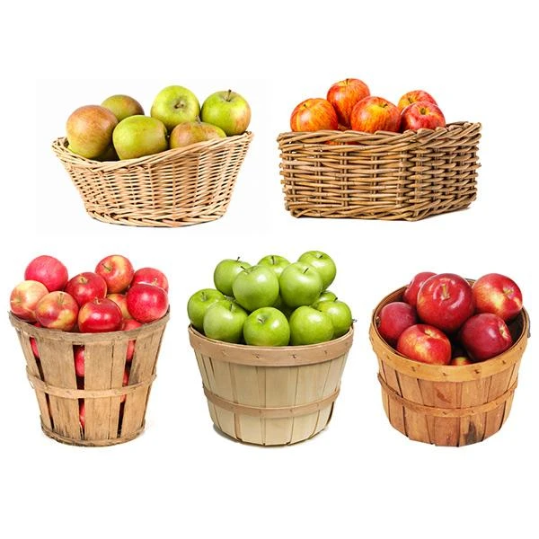 5-in-1 Apple Tree with multiple apple varieties