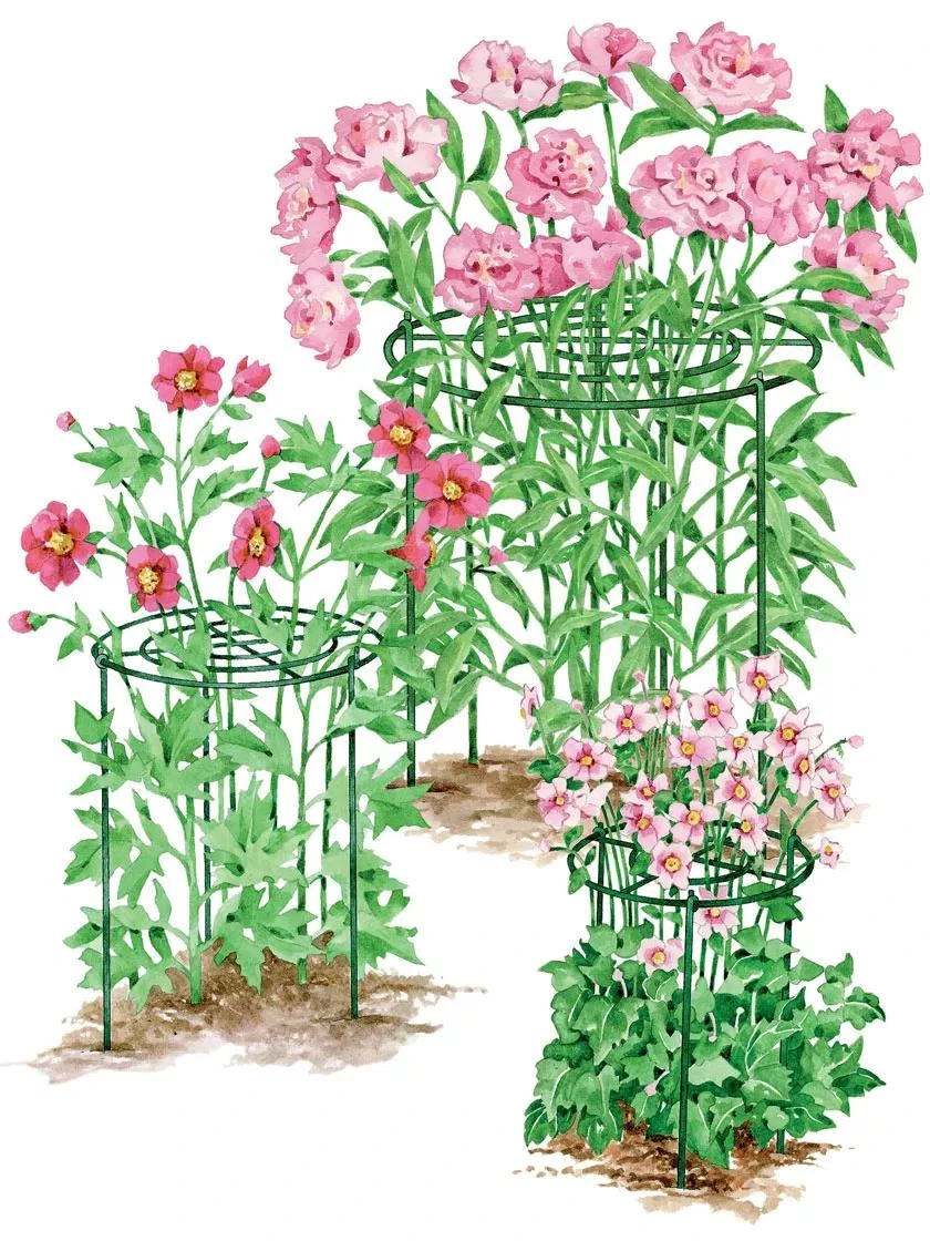 Grow Through Flower Supports Set