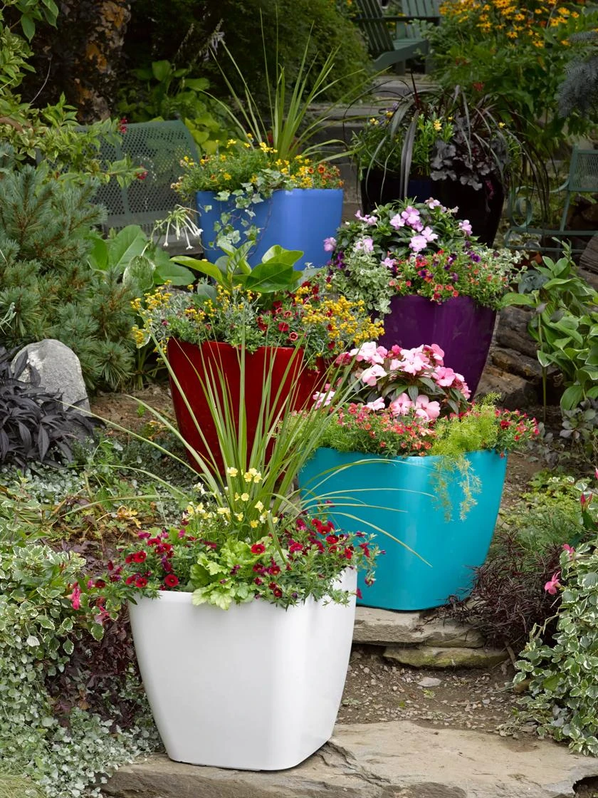 Viva Square Self-Watering Rolling Planter