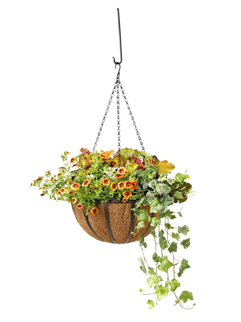 AquaSav Oxford Hanging Basket with vibrant flowers