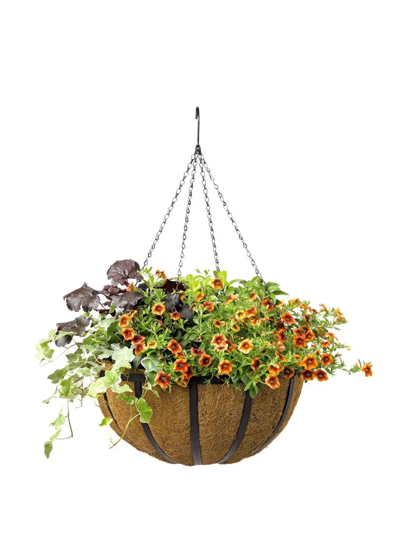AquaSav Oxford Hanging Basket with colorful flowers