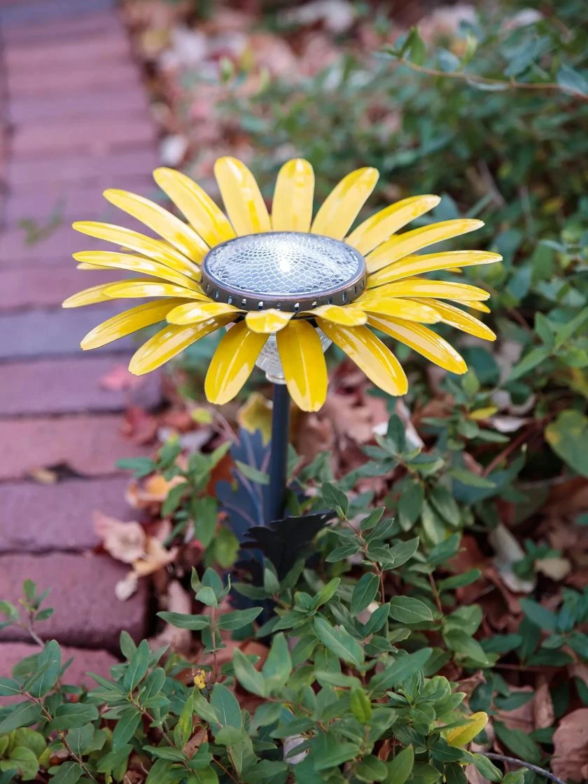 Desert Steel Daisy Solar Light in garden setting