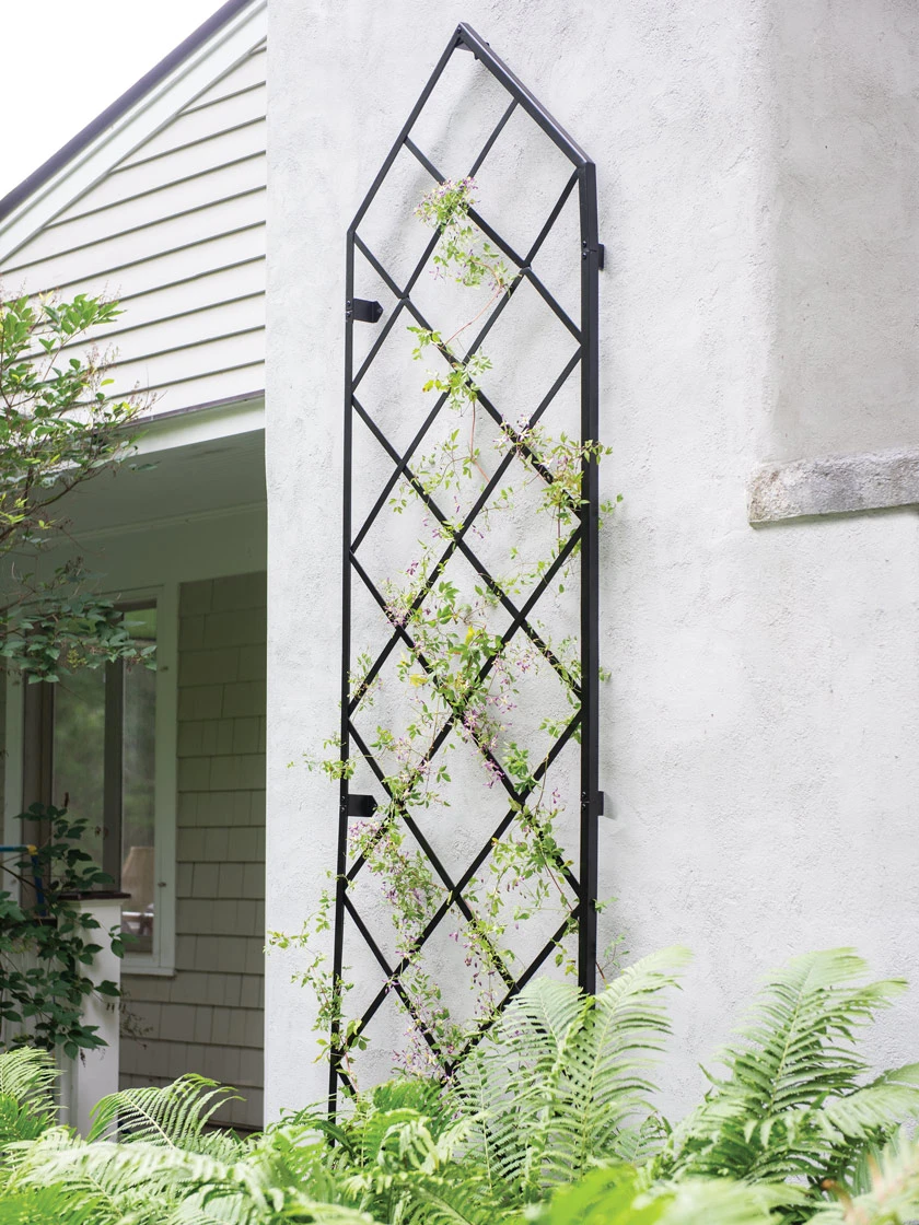Lattice Gable Wall Trellis with climbing vines