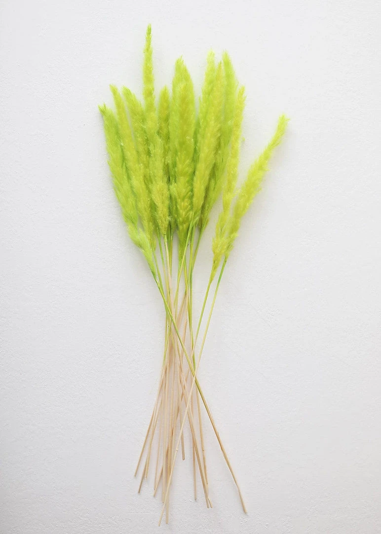 Chartreuse dried pampas grass arrangement