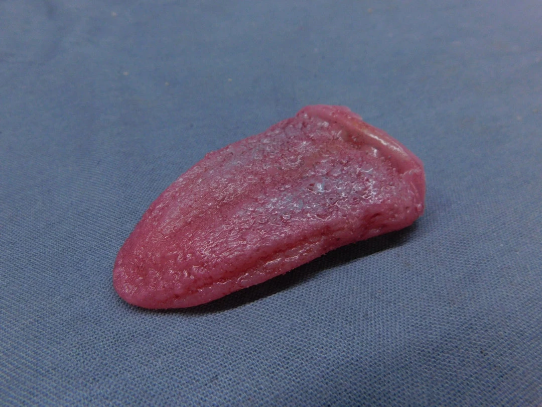 Dapper Cadaver Silicone Tongue