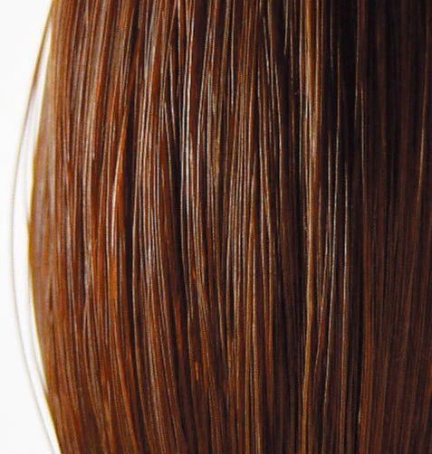 Trophy Tails Medium Sorrel extension blending seamlessly with horse tail