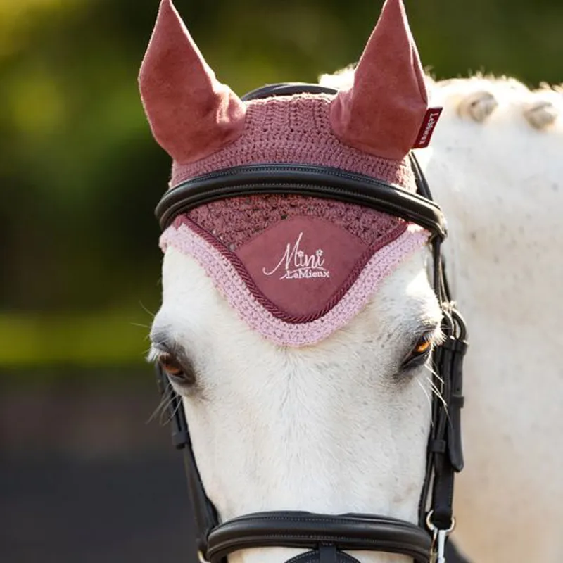 LeMieux Mini Fly Hood Orchid on a pony