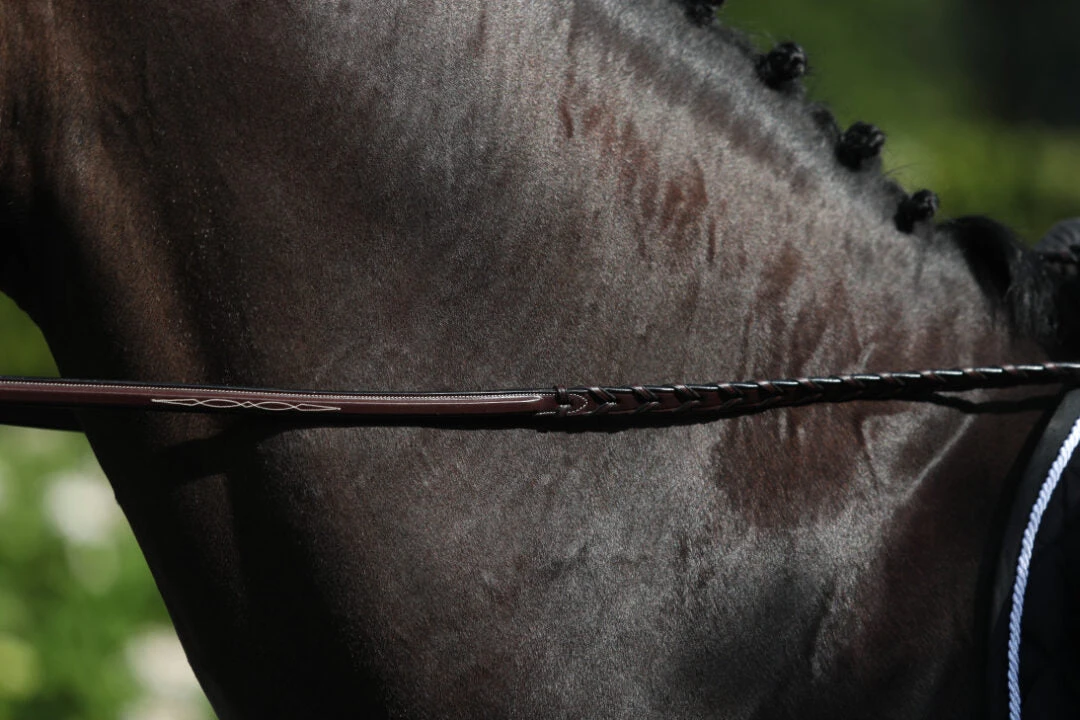 Dy'on Hunter Collection Fancy Stitched Leather Laced Reins