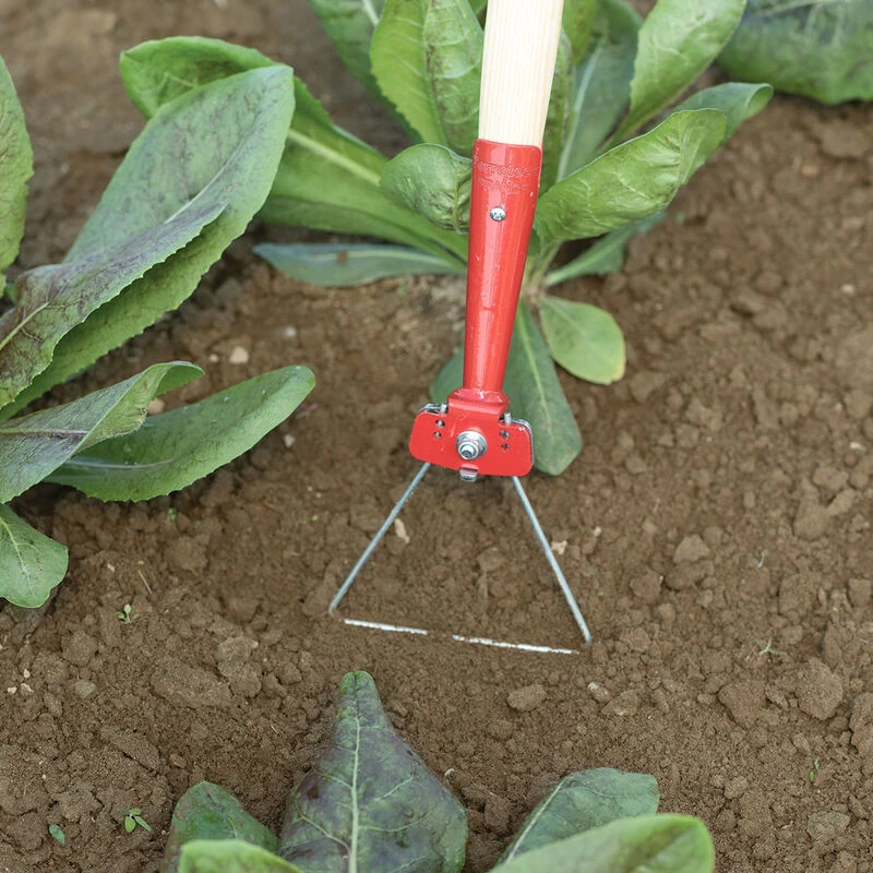 Delta Wire Hoe with interchangeable heads