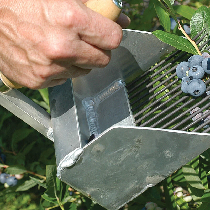 Highbush Blueberry Rake hand tool for efficient harvesting