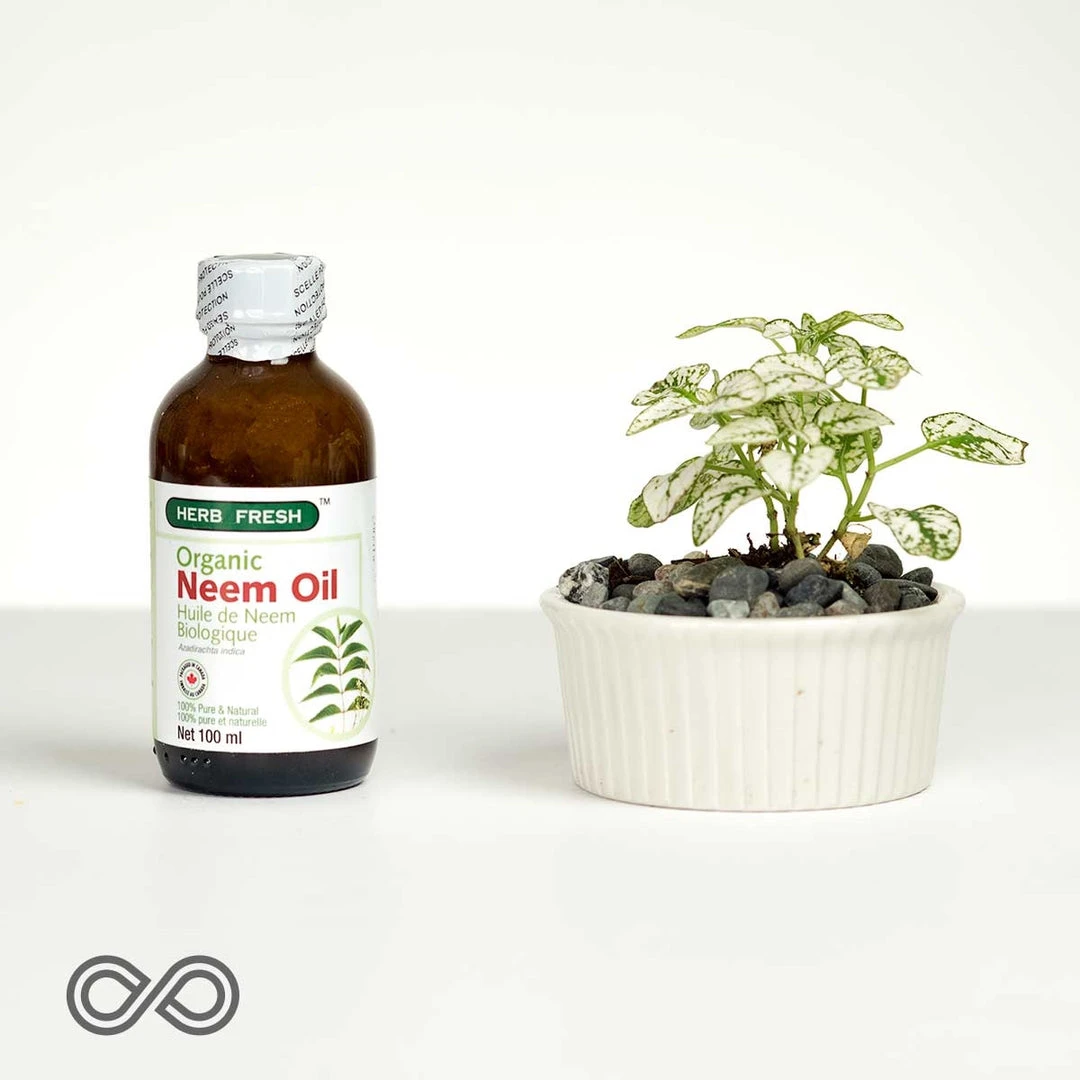 Organic Neem Oil Bottle