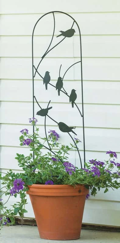 Panacea black steel trellis with climbing plants