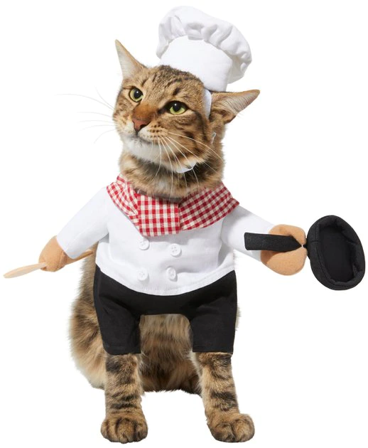 Frisco Chef Dog Costume