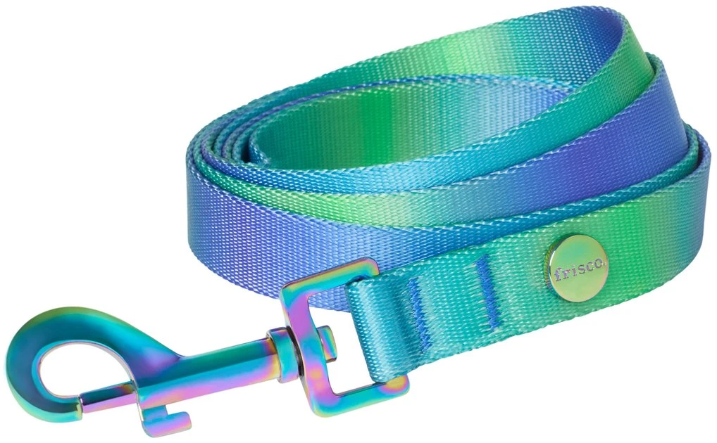 Frisco Green Ombre Dog Leash