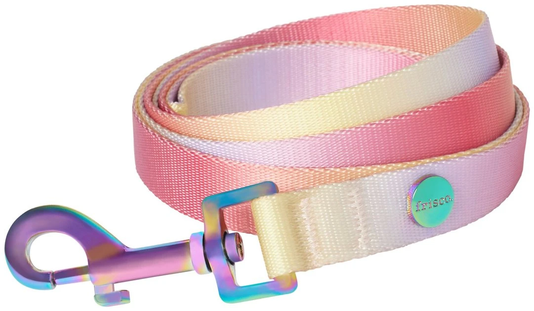 Frisco Pink Ombre Dog Leash