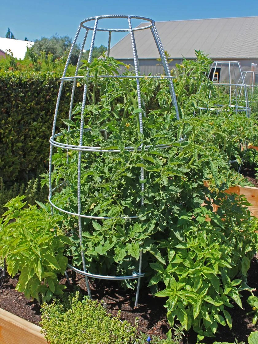 Toki Bubble Trellis in garden setting