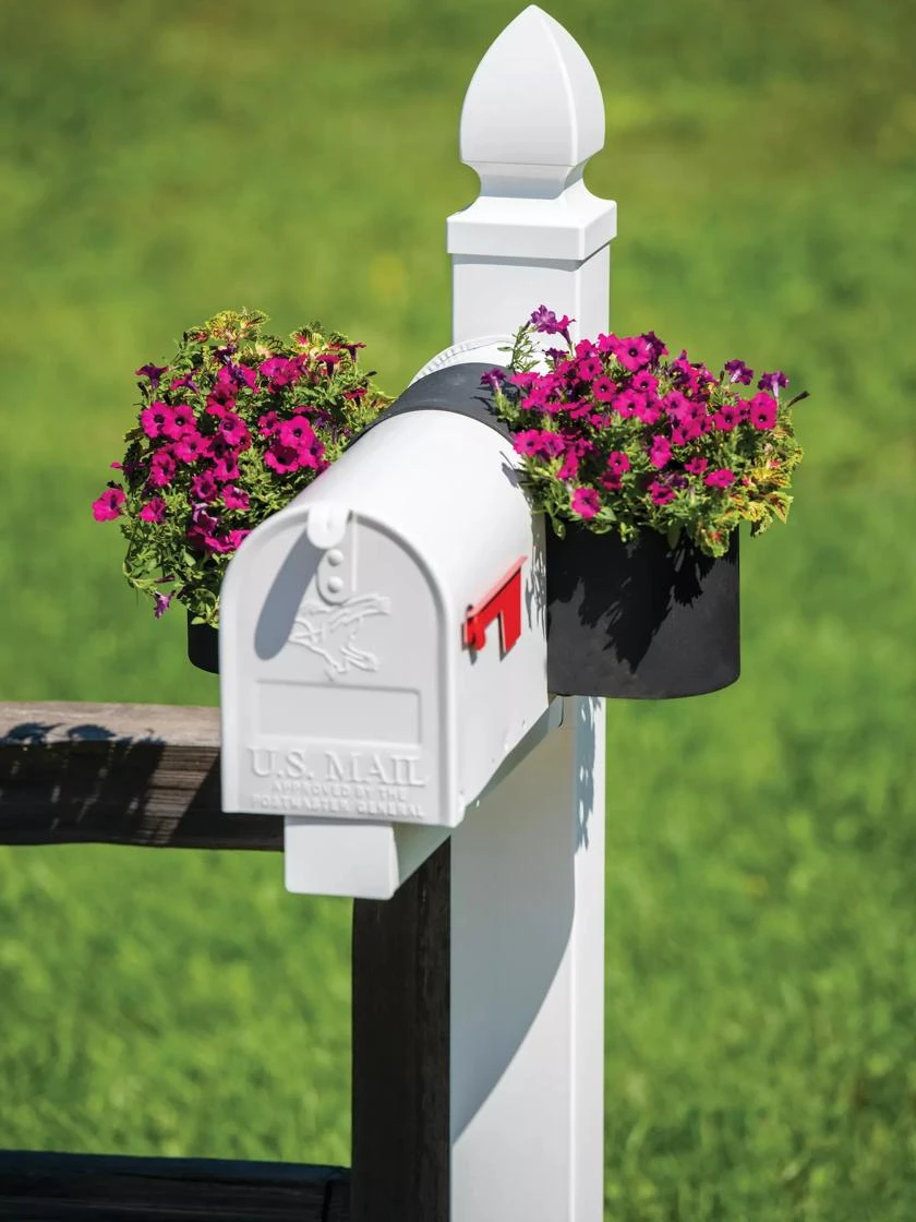 Mailbox Planter with blooming flowers